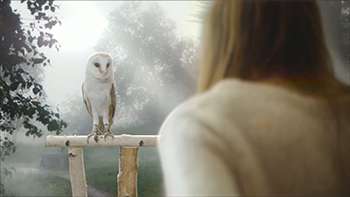Clara Fenster : Après VFX