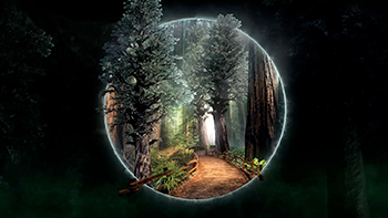 Odysound : Muir Wood
